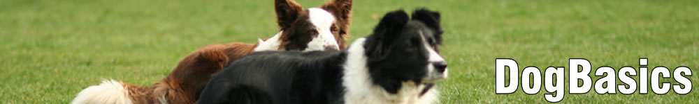 Header6
