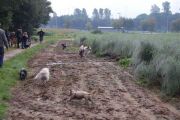 4-9-2011 Wandeling Dogbasics 038