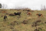 wandeling 21-02-2010-2
