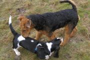 wandeling 21-02-2010-5