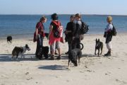 weekend-zeeland-12