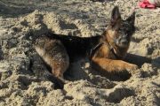 weekend-zeeland-14