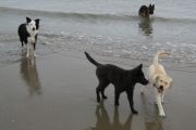 weekend-zeeland-2