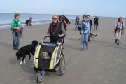 weekend-zeeland-21