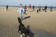 weekend-zeeland-8