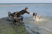 weekend-zeeland-9