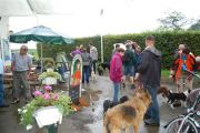 4-9-2011 Wandeling Dogbasics 004