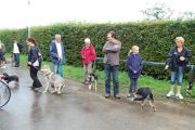 4-9-2011 Wandeling Dogbasics 010