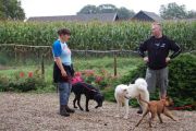 4-9-2011 Wandeling Dogbasics 057