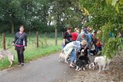 4-9-2011 Wandeling Dogbasics 061