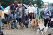 4-9-2011 Wandeling Dogbasics 072