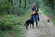 4-9-2011 Wandeling Dogbasics 125