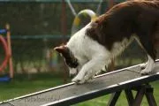 IMG 2289.JPG