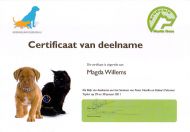 certificaat-martin-gaus