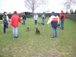 Puppycursus