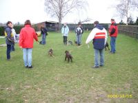 Puppy cursus