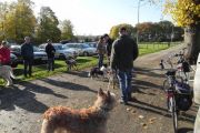 wandeling 11-11 002