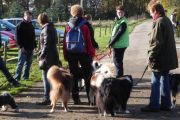 wandeling 11-11 004