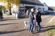 wandeling 11-11 005