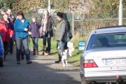 wandeling 11-11 010