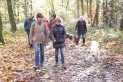 wandeling 11-11 020