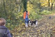 wandeling 11-11 021