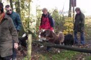 wandeling 11-11 022