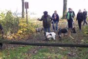 wandeling 11-11 023