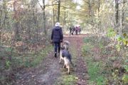 wandeling 11-11 026