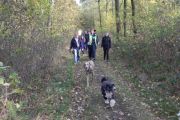 wandeling 11-11 028