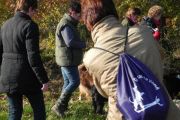 wandeling 11-11 042