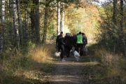 wandeling 11-11 043