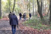 wandeling 11-11 052