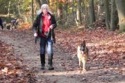 wandeling 11-11 057