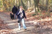 wandeling 11-11 058