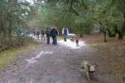 wandeling 21-02-2010 006