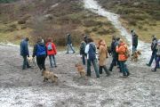 wandeling 21-02-2010 008