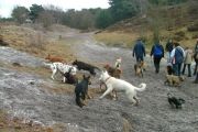 wandeling 21-02-2010 009