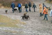 wandeling 21-02-2010 010