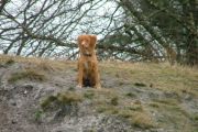 wandeling 21-02-2010 011