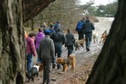 wandeling 21-02-2010 015