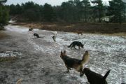 wandeling 21-02-2010 016