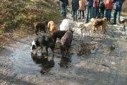 wandeling 21-02-2010 017