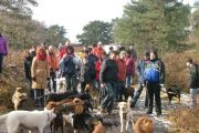 wandeling 21-02-2010 021