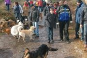 wandeling 21-02-2010 022