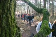 wandeling 21-02-2010 025