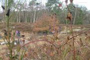 wandeling 21-02-2010 030