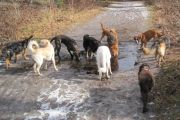 wandeling 21-02-2010-12