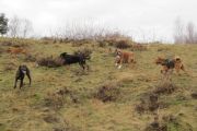 wandeling 21-02-2010-2