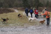 wandeling 21-02-2010-9